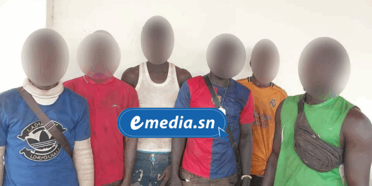 Opération de sécurisation à l’Est : 64 interpellations, plusieurs sites d’orpaillage démantelés par la nouvelle Légion de Gendarmerie de Kédougou 1 20250807 230154 0000