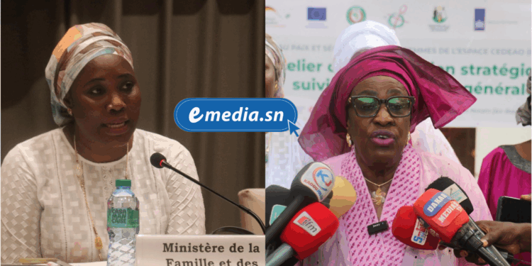 Le REPSFECO lance un plan stratégique ambitieux pour renforcer le rôle des femmes dans la paix et la sécurité en Afrique de l’Ouest et du Centre 1 20250814 084738 0000