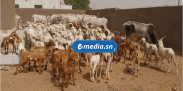 20250818 113020 0000