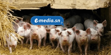 20250819 132322 0000