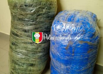 Sandiara : 42 kg de chanvre indien saisis 2 FB IMG 1754518500294