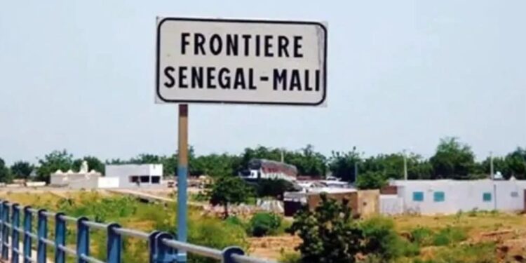 Tambacounda : Sept ressortissants maliens interpellés à Dialloubé, leur procès prévu ce jeudi 1 FB IMG 1755120460358