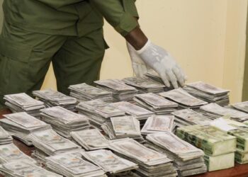 IMG 20250507 WA0236 1