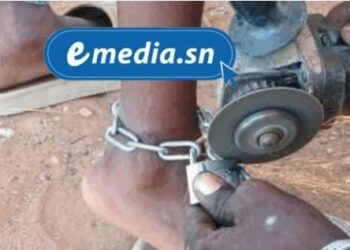 Joal : cinq ans requis contre un maître coranique accusé de maltraitance sur deux talibés<br> 1 IMG 20250820 WA0044