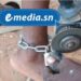 Joal : cinq ans requis contre un maître coranique accusé de maltraitance sur deux talibés<br> 7 IMG 20250820 WA0044