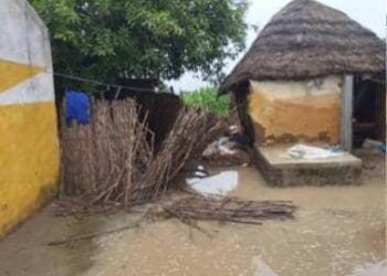 Inondations à Darou Wolof : une cinquantaine de maisons submergées, d'importants dégâts matériels enregistrés<br> 1 IMG 20250822 WA00151