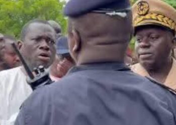 Kaolack : le maire Serigne Mboup proteste contre une opération de reboisement jugée illégale 1 InCollage 20250803 174114464