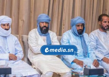 Mali : Libération de quatre chauffeurs marocains enlevés en janvier dans la zone des trois frontières 1 InCollage 20250804 232803777