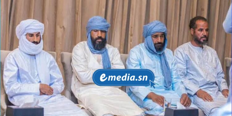 Mali : Libération de quatre chauffeurs marocains enlevés en janvier dans la zone des trois frontières 1 InCollage 20250804 232803777