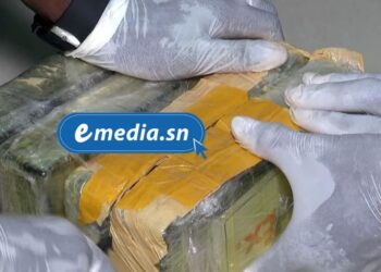 Saisie de 643 kg de cocaïne à Rufisque : opération conjointe Douanes-Gendarmerie 1 InCollage 20250805 203223922