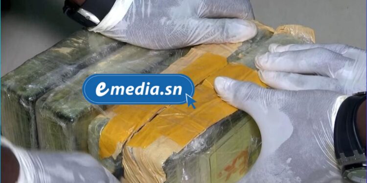 Saisie de 643 kg de cocaïne à Rufisque : opération conjointe Douanes-Gendarmerie 1 InCollage 20250805 203223922