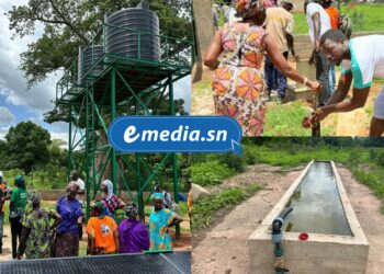 Casamance : Trois mini-forages inaugurés à Djibidione pour renforcer l’accès à l’eau et la paix sociale 1 InCollage 20250805 223614840