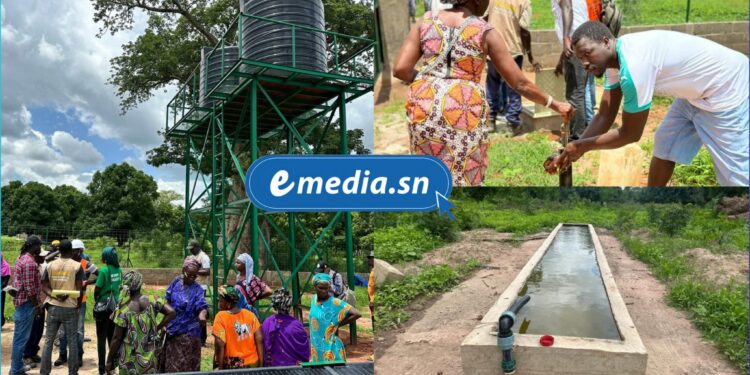 Casamance : Trois mini-forages inaugurés à Djibidione pour renforcer l’accès à l’eau et la paix sociale 1 InCollage 20250805 223614840
