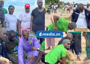 Abéné : début des travaux de restauration écologique sur l’ancien site d’exploitation du zircon 1 InCollage 20250810 214419959