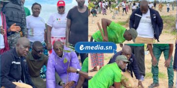 InCollage 20250810 214419959