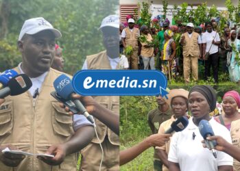 InCollage 20250812 180529541