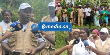 InCollage 20250812 180529541