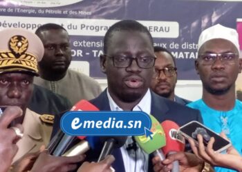 Ziguinchor : 135 villages bientôt connectés à l’électricité grâce au programme Paderau 1 InCollage 20250819 125816330
