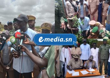 Linguère : une réserve naturelle communautaire bientôt créée à Labgar, 45 000 arbres à reboiser 3 InCollage 20250819 161640710