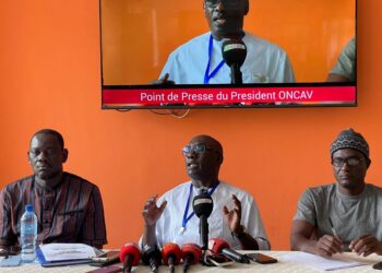 Phases nationales Casamance 2025 : une édition résiliente et novatrice saluée par l’ONCAV 1 InCollage 20250822 121843819