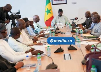 SONACOS SA : l’État engage un plan de sauvetage pour relancer l’un des piliers de la filière arachidière 1 InCollage 20250822 194527797