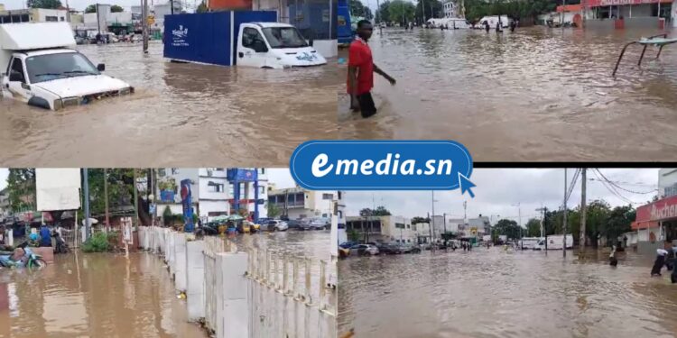 Thiès paralysée par une forte pluie : inondations, routes impraticables et dégâts matériels 1 InCollage 20250822 210414662
