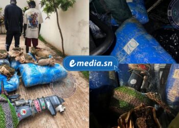 Thiaroye-sur-Mer : 243 kg de chanvre indien saisis en mer, deux trafiquants arrêtés 1 InCollage 20250822 220726419