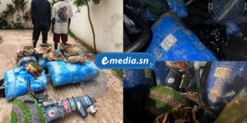 InCollage 20250822 220726419