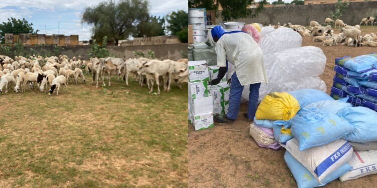 Linguère : 350 jeunes financés à hauteur de 240 millions FCFA par le projet Agri-Jeunes pour l’entrepreneuriat en production animale 1 InCollage 20250823 213737485