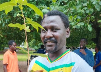 Journée de reboisement à Kolda : Bacary Marone Seydi appelle la jeunesse à tourner le dos à la coupe abusive de bois 1 InCollage 20250824 085804607