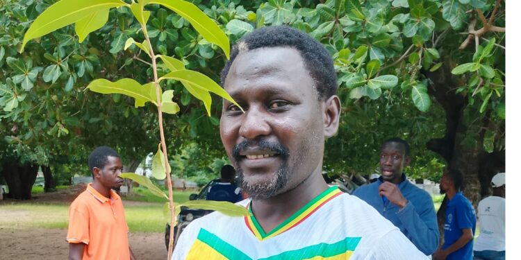 Journée de reboisement à Kolda : Bacary Marone Seydi appelle la jeunesse à tourner le dos à la coupe abusive de bois 1 InCollage 20250824 085804607