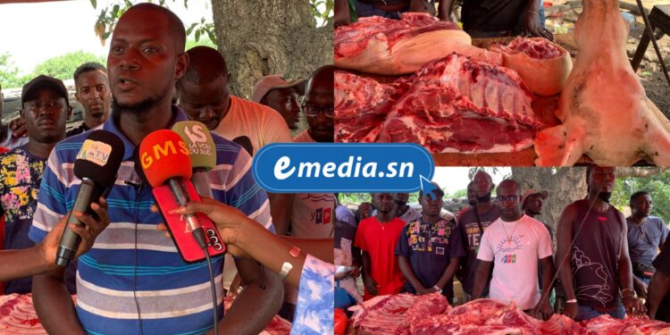 Ziguinchor : Les vendeurs de porc du marché Tilène exigent la libération de leur président 1 InCollage 20250826 153453622