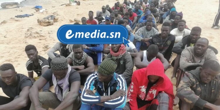 17 candidats à l’émigration irrégulière interceptés à Abéné 1 InCollage 20250827 161442304 1