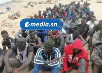 Tentative d’émigration clandestine déjouée à Kafountine : 34 personnes arrêtées 1 InCollage 20250827 161442304