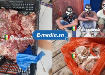 InCollage 20250829 085114325