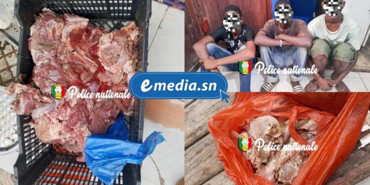Vente de viande avariée à Diamaguene : trois individus interpellés, des clients déjà exposés 1 InCollage 20250829 085114325