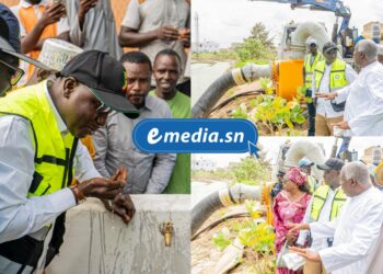 InCollage 20250829 131949672