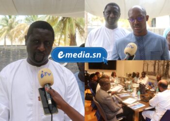 La Guinée inaugure son Datacenter national : un jalon stratégique vers la souveraineté numérique 2 InCollage 20250829 134936289