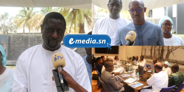 InCollage 20250829 134936289