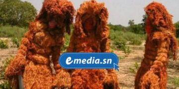 InCollage 20250830 215507959