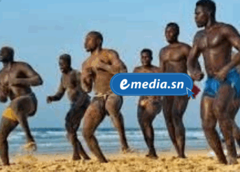 Suspension du processus électoral à la Fédération sénégalaise de Lutte : l'État impose une pause pour garantir la transparence 1 20250911 182307 0000