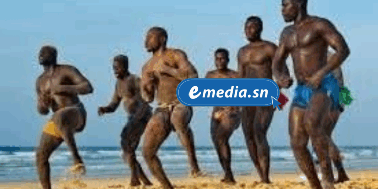 Suspension du processus électoral à la Fédération sénégalaise de Lutte : l'État impose une pause pour garantir la transparence 1 20250911 182307 0000