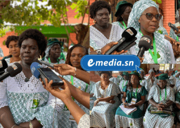 Agroécologie : le mouvement « Nous sommes la solution » renforce la formation de ses leaders en Afrique de l’Ouest 2 20250917 154953 0000