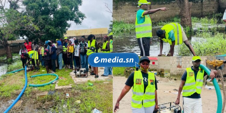 Kolda : Le Mouvement Kolda Debout au chevet des sinistrés des inondations 1 InCollage 20250902 083352688
