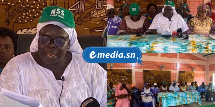 Souveraineté alimentaire : l’appel des femmes rurales pour une transition agroécologique 1 InCollage 20250902 084732730