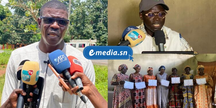 Alphabétisation en Casamance : 350 femmes formées grâce au projet Natur’Elles de SOCODEVI 1 InCollage 20250916 125245463
