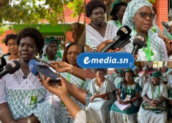 Agroécologie : le mouvement « Nous sommes la solution » renforce la formation de ses leaders en Afrique de l’Ouest 1 InCollage 20250917 155950137