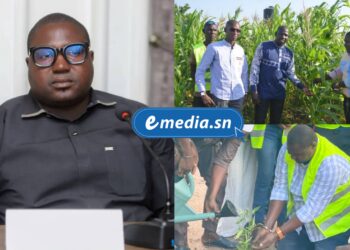 Agrobeydaaré Sénégal Renforce l’Emploi des Jeunes à Kédougou grâce à la Pisciculture 2 InCollage 20250917 180402733