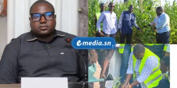 InCollage 20250917 180402733