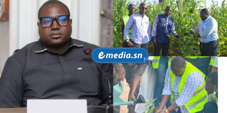 InCollage 20250917 180402733